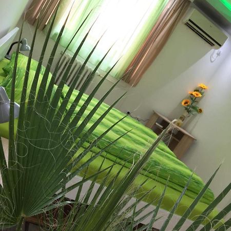 Green Dreams Novi Sad Esterno foto