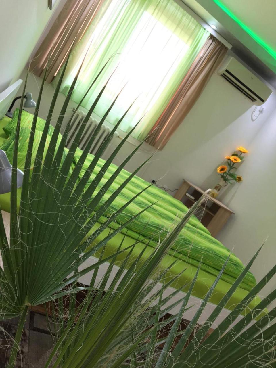 Green Dreams Novi Sad Esterno foto